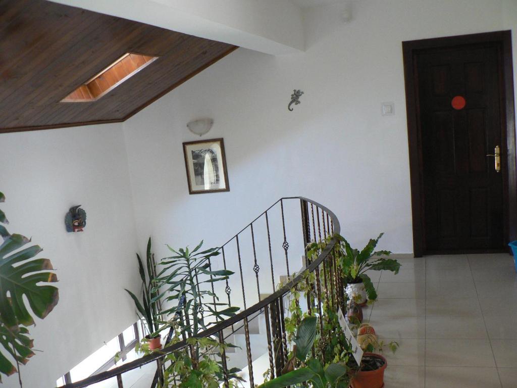 Casa Havana (Adults Only) Costinesti Exteriör bild