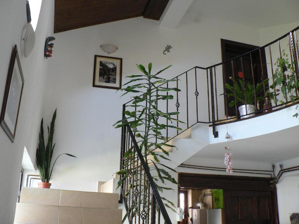 Casa Havana (Adults Only) Costinesti Exteriör bild