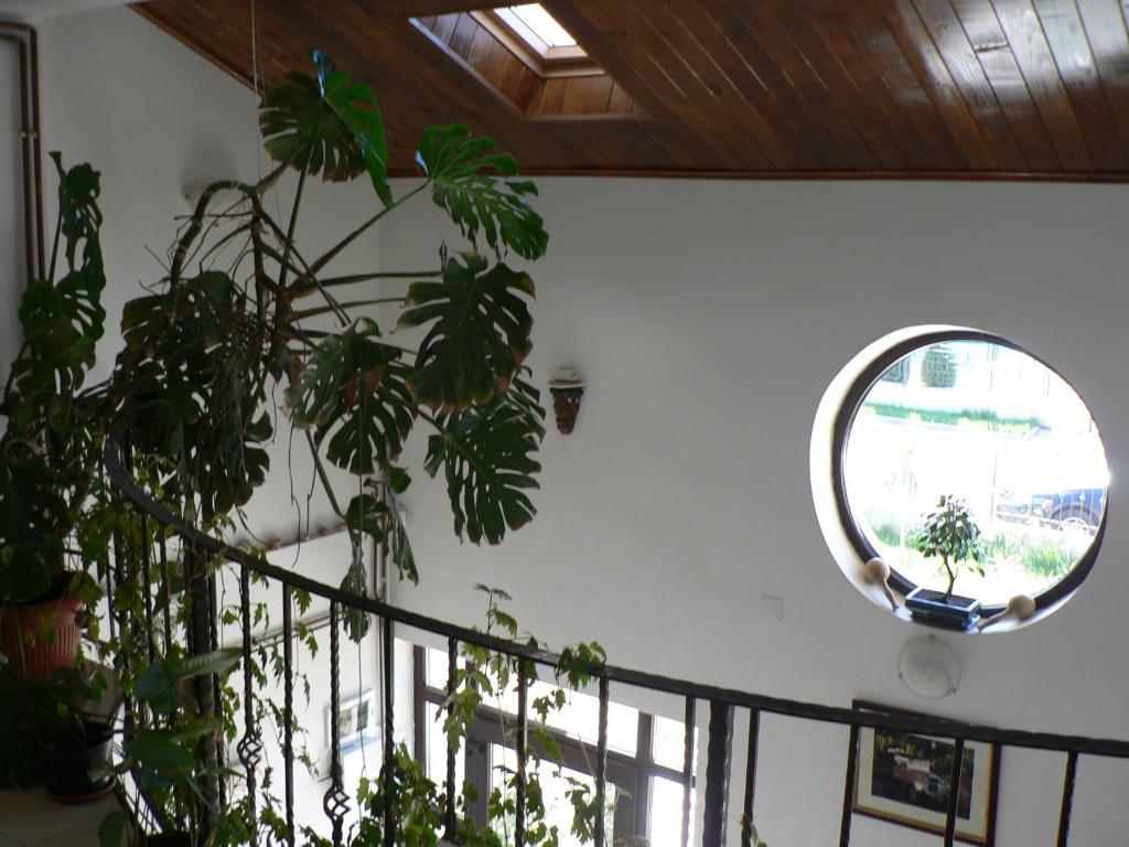 Casa Havana (Adults Only) Costinesti Exteriör bild