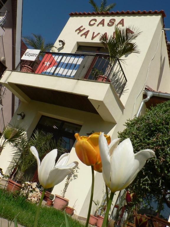 Casa Havana (Adults Only) Costinesti Exteriör bild