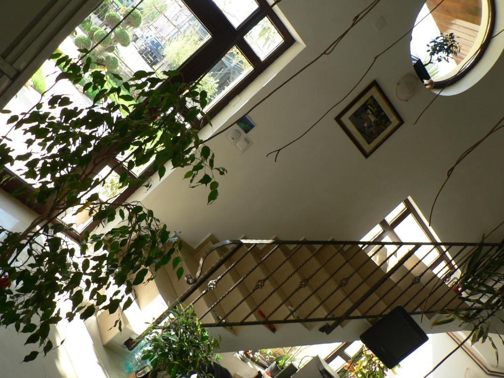 Casa Havana (Adults Only) Costinesti Exteriör bild