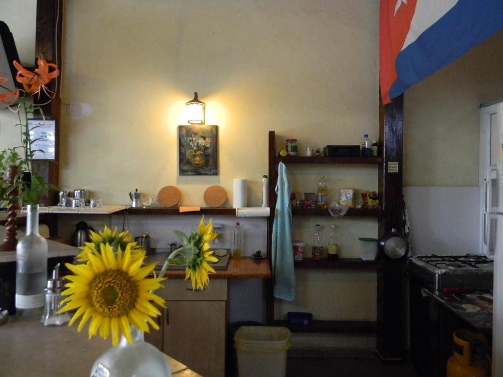 Casa Havana (Adults Only) Costinesti Exteriör bild